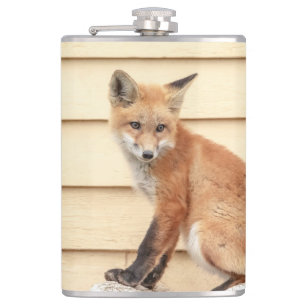 Red Fox Kit im Hudson Tal Flachmann