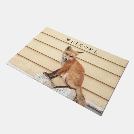 Red Fox Kit im Hudson Tal Fußmatte (Schrägansicht)
