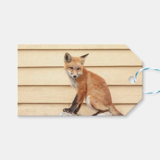 Red Fox Kit im Hudson Tal Geschenkanhänger (Vorderseite (Horizontal))