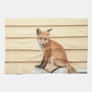 Red Fox Kit im Hudson Tal Geschirrtuch