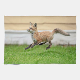 Red Fox Kit im Hudson Tal Geschirrtuch