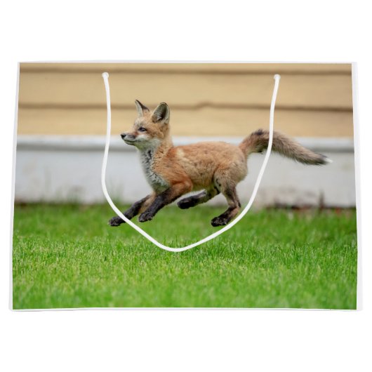 Red Fox Kit im Hudson Tal Große Geschenktüte (Vorderseite)