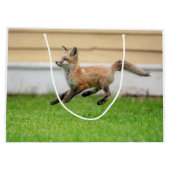 Red Fox Kit im Hudson Tal Große Geschenktüte (Rückseite)