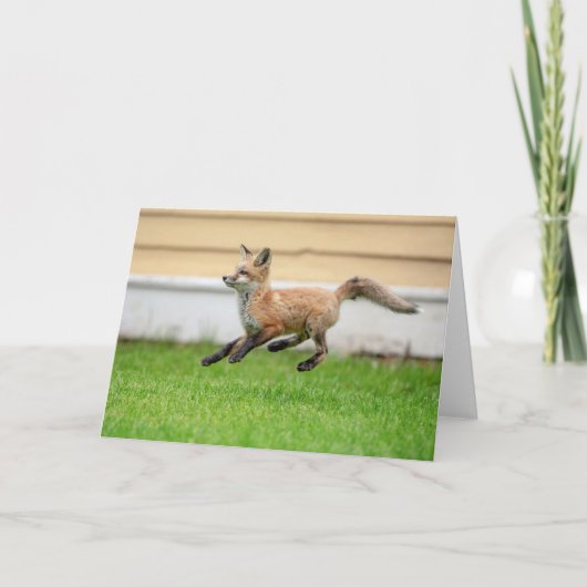 Red Fox Kit im Hudson Tal Karte (Vorderseite)