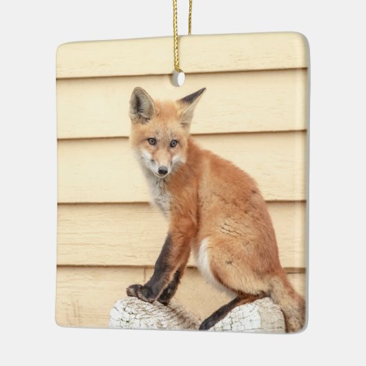 Red Fox Kit im Hudson Tal Keramikornament (Links)