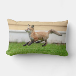 Red Fox Kit im Hudson Tal Lendenkissen