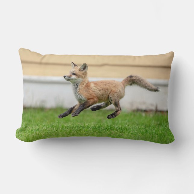 Red Fox Kit im Hudson Tal Lendenkissen (Vorderseite)