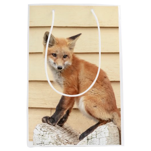 Red Fox Kit im Hudson Tal Mittlere Geschenktüte (Vorderseite)