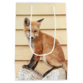 Red Fox Kit im Hudson Tal Mittlere Geschenktüte (Rückseite)
