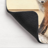 Red Fox Kit im Hudson Tal Mousepad (Ecke)