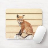 Red Fox Kit im Hudson Tal Mousepad (Mit Mouse)