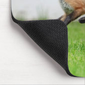 Red Fox Kit im Hudson Tal Mousepad (Ecke)