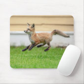 Red Fox Kit im Hudson Tal Mousepad (Mit Mouse)