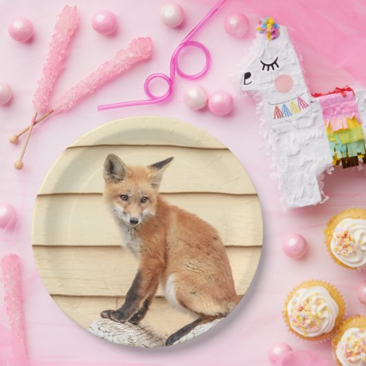 Red Fox Kit im Hudson Tal Pappteller (Party)