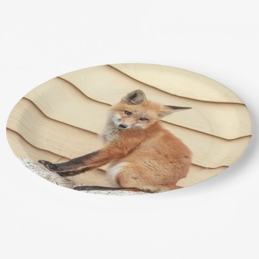 Red Fox Kit im Hudson Tal Pappteller (Schrägansicht)