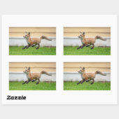 Red Fox Kit im Hudson Tal Rechteckiger Aufkleber (Blatt)