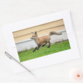 Red Fox Kit im Hudson Tal Rechteckiger Aufkleber (Umschlag)