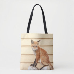 Red Fox Kit im Hudson Tal Tasche