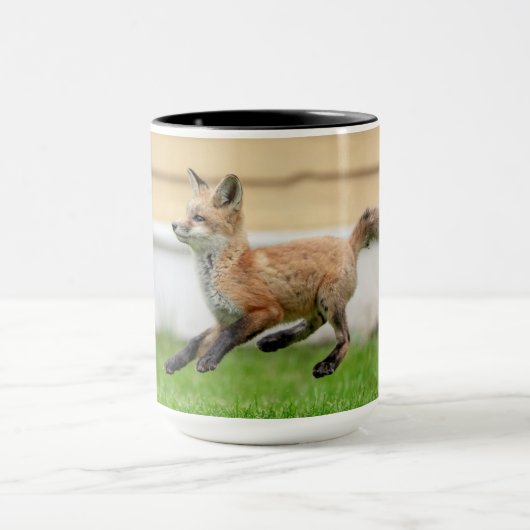 Red Fox Kit im Hudson Tal Tasse (Zentrum)