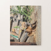 Red Fox Kit in den Adirondacks Puzzle (Vertikal)