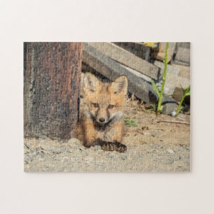 Red Fox Kit in den Adirondacks Puzzle