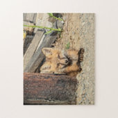 Red Fox Kit in den Adirondacks Puzzle (Vertikal)