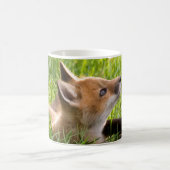 Red Fox Kit Kaffeetasse (Mittel)