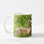 Red Fox Kit Kaffeetasse (Links)