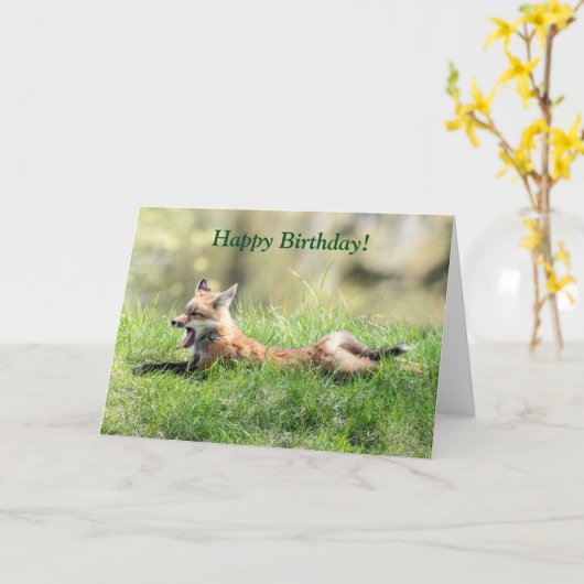 Red Fox Kit Karte (Gelbe Blume)