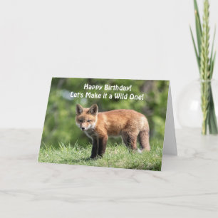 Red Fox Kit Karte