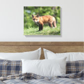 Red Fox Kit Leinwanddruck (Insitu (Schlafzimmer))