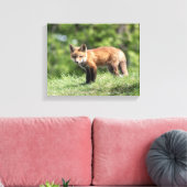 Red Fox Kit Leinwanddruck (Insitu (Wohnzimmer))