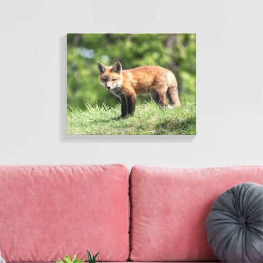 Red Fox Kit Leinwanddruck (Insitu (Wohnzimmer))