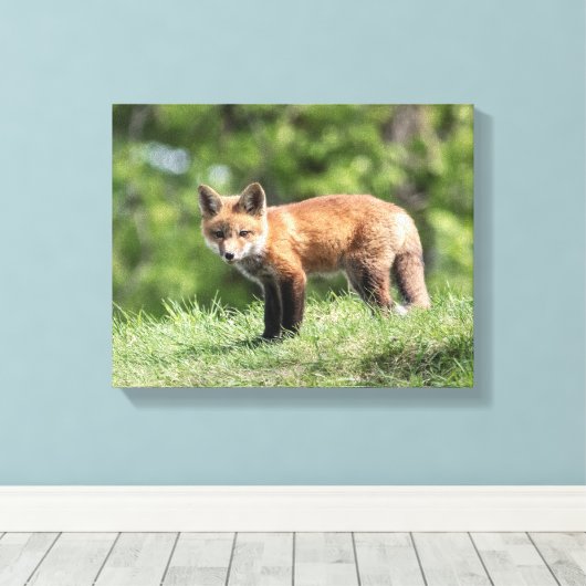 Red Fox Kit Leinwanddruck (Insitu (Holzboden))
