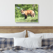 Red Fox Kit Leinwanddruck (Insitu (Schlafzimmer))
