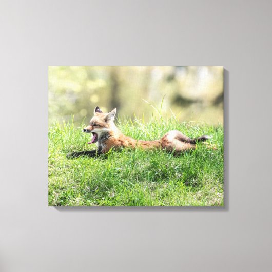 Red Fox Kit Leinwanddruck (Vorderseite)