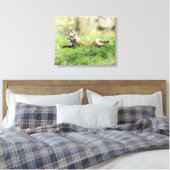 Red Fox Kit Leinwanddruck (Insitu (Schlafzimmer))