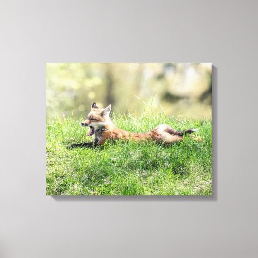 Red Fox Kit Leinwanddruck (Vorderseite)