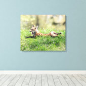 Red Fox Kit Leinwanddruck (Insitu (Holzboden))