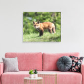 Red Fox Kit Leinwanddruck (Insitu (Wohnzimmer))
