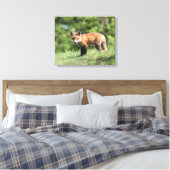 Red Fox Kit Leinwanddruck (Insitu (Schlafzimmer))