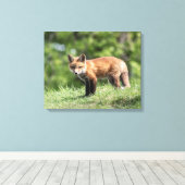 Red Fox Kit Leinwanddruck (Insitu (Holzboden))