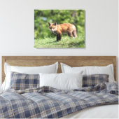 Red Fox Kit Leinwanddruck (Insitu (Schlafzimmer))