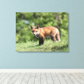 Red Fox Kit Leinwanddruck (Insitu (Holzboden))
