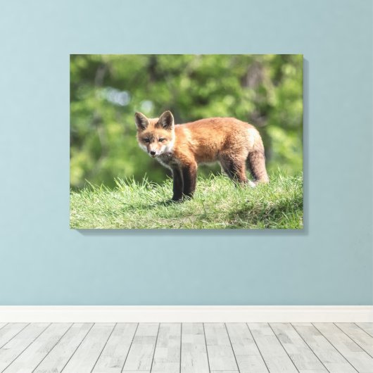Red Fox Kit Leinwanddruck (Insitu (Holzboden))