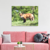 Red Fox Kit Leinwanddruck (Insitu (Wohnzimmer))