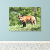 Red Fox Kit Leinwanddruck (Insitu (Holzboden))