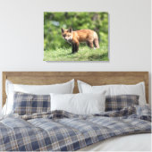 Red Fox Kit Leinwanddruck (Insitu (Schlafzimmer))