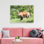 Red Fox Kit Leinwanddruck (Insitu (Wohnzimmer))