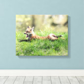 Red Fox Kit Leinwanddruck (Insitu (Holzboden))